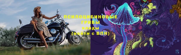 тгк Кулебаки