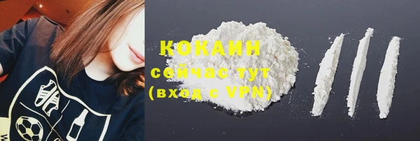 стаф Лагань