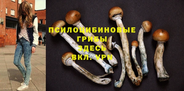 альфа пвп Куйбышев